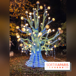 Odyssée Lumineuse, le festival des lumières au Parc Floral - IMG 2415