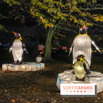 Odyssée Lumineuse, le festival des lumières au Parc Floral - IMG 2417