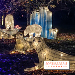 Odyssée Lumineuse, le festival des lumières au Parc Floral - IMG 2419