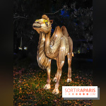 Odyssée Lumineuse, le festival des lumières au Parc Floral - IMG 2421