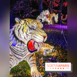 Odyssée Lumineuse, le festival des lumières au Parc Floral - IMG 2422
