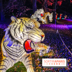 Odyssée Lumineuse, le festival des lumières au Parc Floral - IMG 2424