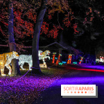 Odyssée Lumineuse, le festival des lumières au Parc Floral - IMG 2425