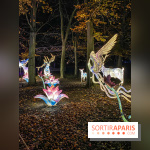 Odyssée Lumineuse, le festival des lumières au Parc Floral - IMG 2428