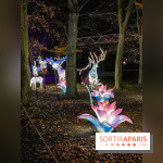 Odyssée Lumineuse, le festival des lumières au Parc Floral - IMG 2429