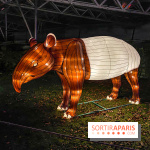 Odyssée Lumineuse, le festival des lumières au Parc Floral