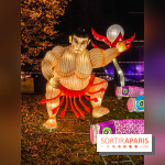 Odyssée Lumineuse, le festival des lumières au Parc Floral - IMG 2437