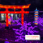 Odyssée Lumineuse, le festival des lumières au Parc Floral - IMG 2442