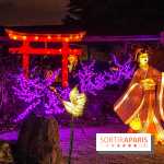 Odyssée Lumineuse, le festival des lumières au Parc Floral - IMG 2446