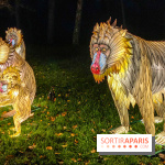 Odyssée Lumineuse, le festival des lumières au Parc Floral - IMG 2455