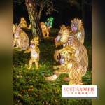 Odyssée Lumineuse, le festival des lumières au Parc Floral - IMG 2456