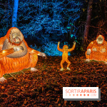 Odyssée Lumineuse, le festival des lumières au Parc Floral - IMG 2457