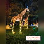 Odyssée Lumineuse, le festival des lumières au Parc Floral