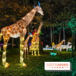 Odyssée Lumineuse, le festival des lumières au Parc Floral