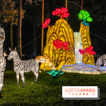 Odyssée Lumineuse, le festival des lumières au Parc Floral - IMG 2461