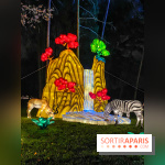 Odyssée Lumineuse, le festival des lumières au Parc Floral - IMG 2462