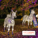 Odyssée Lumineuse, le festival des lumières au Parc Floral - IMG 2465