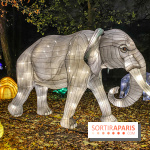 Odyssée Lumineuse, le festival des lumières au Parc Floral