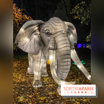 Odyssée Lumineuse, le festival des lumières au Parc Floral - IMG 2470