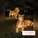 Odyssée Lumineuse, le festival des lumières au Parc Floral