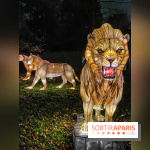 Odyssée Lumineuse, le festival des lumières au Parc Floral - IMG 2473