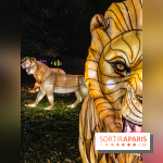 Odyssée Lumineuse, le festival des lumières au Parc Floral - IMG 2474