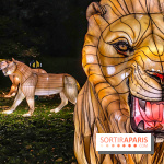 Odyssée Lumineuse, le festival des lumières au Parc Floral - IMG 2475