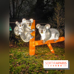 Odyssée Lumineuse, le festival des lumières au Parc Floral - IMG 2477