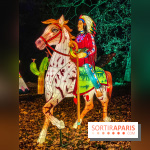 Odyssée Lumineuse, le festival des lumières au Parc Floral - IMG 2481