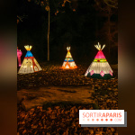 Odyssée Lumineuse, le festival des lumières au Parc Floral - IMG 2484