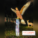 Odyssée Lumineuse, le festival des lumières au Parc Floral - IMG 2487