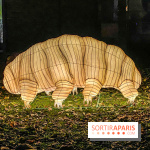 Odyssée Lumineuse, le festival des lumières au Parc Floral - IMG 2488