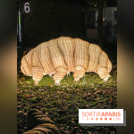 Odyssée Lumineuse, le festival des lumières au Parc Floral - IMG 2489