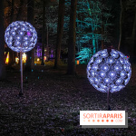 Odyssée Lumineuse, le festival des lumières au Parc Floral - IMG 2498