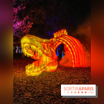 Odyssée Lumineuse, le festival des lumières au Parc Floral - IMG 2526