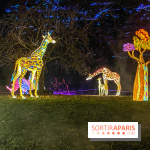Odyssée Lumineuse, le festival des lumières au Parc Floral