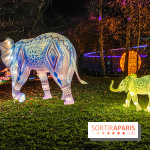 Odyssée Lumineuse, le festival des lumières au Parc Floral - IMG 2533