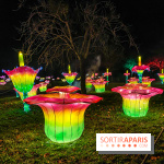 Odyssée Lumineuse, le festival des lumières au Parc Floral - IMG 2544