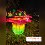 Odyssée Lumineuse, le festival des lumières au Parc Floral - IMG 2545