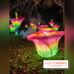 Odyssée Lumineuse, le festival des lumières au Parc Floral - IMG 2546