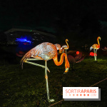 Odyssée Lumineuse, le festival des lumières au Parc Floral - IMG 2547