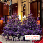Noël 2023 à l'hôtel Royal Monceau Raffles Paris - image00015