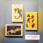 Objectif mer, l'exposition autour du 7e art à découvrir au musée de la Marine - nos photos - IMG20231207104112