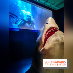 Objectif mer, l'exposition autour du 7e art à découvrir au musée de la Marine - nos photos - IMG20231207112214