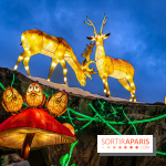 Noël au Parc Astérix 2023, sentier de lumières et patinoire