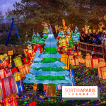 Noël au Parc Astérix 2023, sentier de lumières et patinoire - IMG 5066