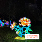 Festival Dragons et Lanternes - Jardin d'Acclimatation - image00049