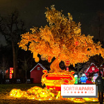 Festival Dragons et Lanternes - Jardin d'Acclimatation - image00069