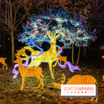 Festival Dragons et Lanternes - Jardin d'Acclimatation - image00124