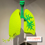 Expo The Art of The Brick Galerie Montparnasse - IMG 3041